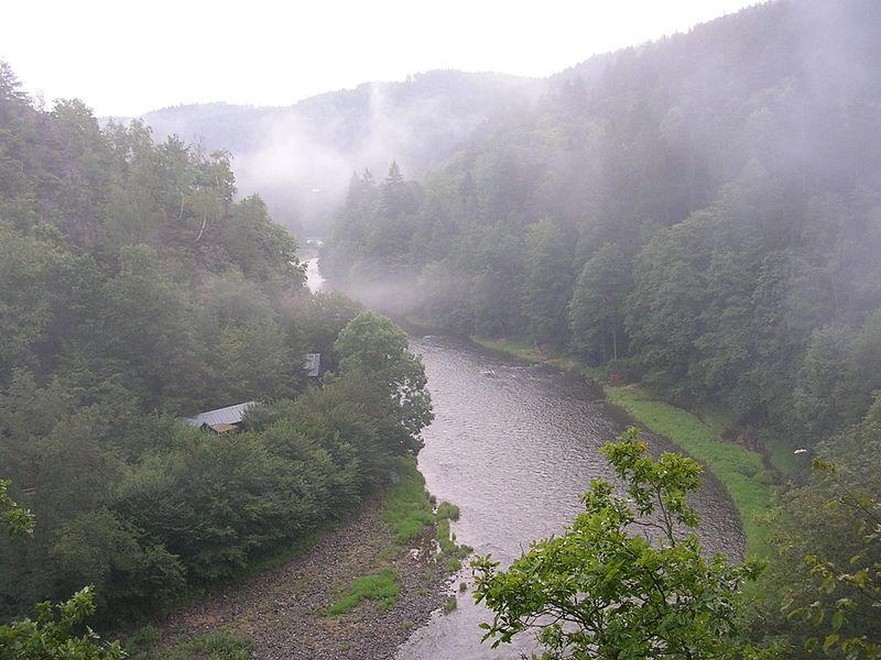 Posázavská Stezka prochází údolím podél řeky Sázavy.